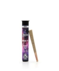 Area 41 Preroll